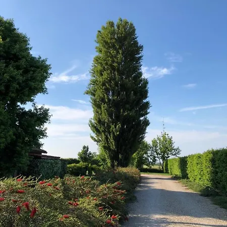 Via D' 8