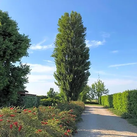Via D' 8 Gualtieri